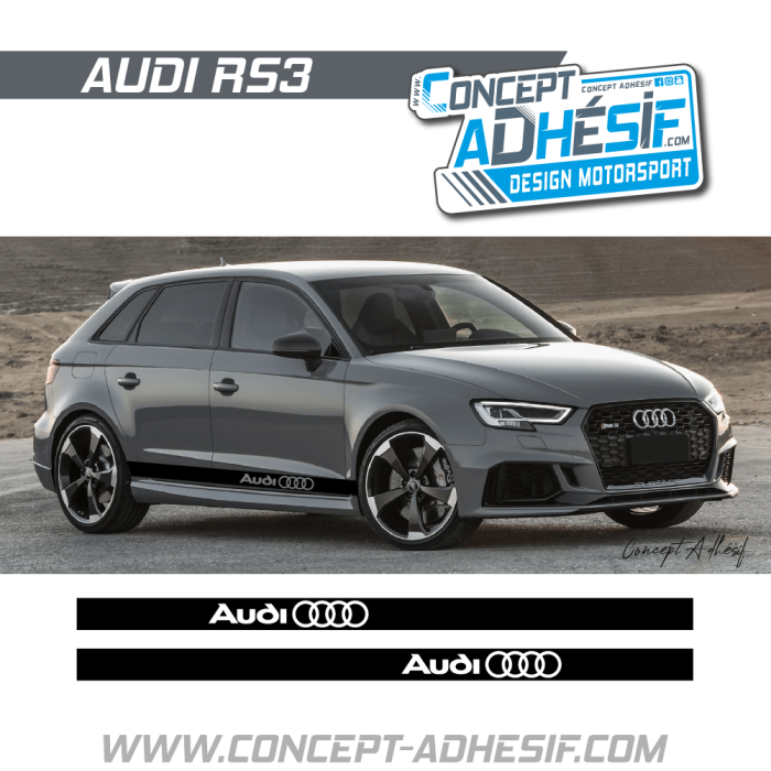 Bande bas de caisse Audi 1