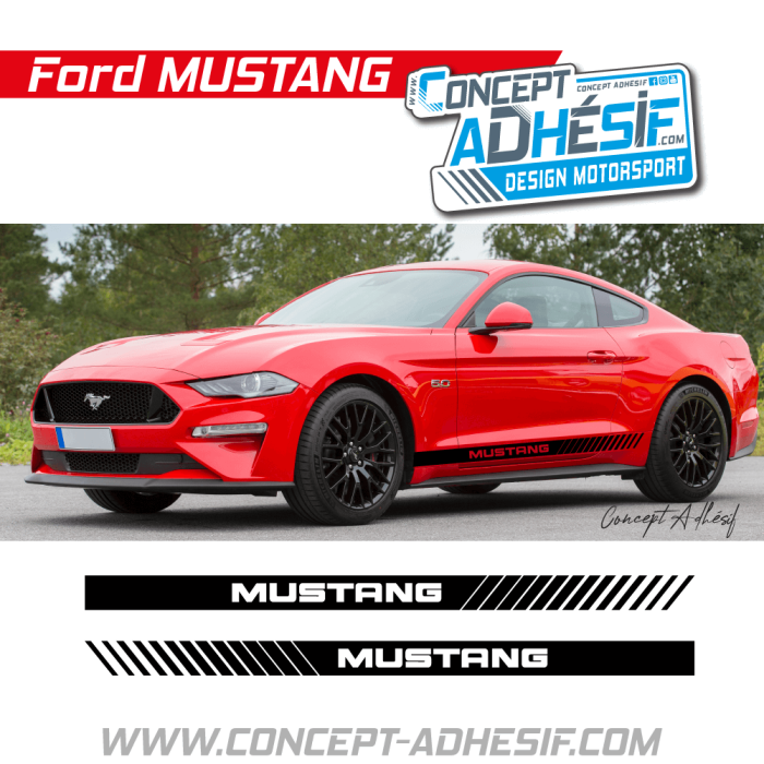 Bande bas de caisse Mustang 6